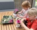 Bild: Zorka Dotto
Bei der Aktion von Ladies' Circle 85 Amberg können Kinder zum Muttertag noch ein schönes Geschenk machen und Blumen stecken.