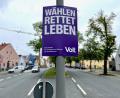 Bild: Gabi Schönberger
Noch hängt nur vereinzelt Parteienwerbung zur Europawahl in Neustadt. Damit sie nicht überhand nimmt, hat der Stadtrat die Plakatierungsverordnung überarbeitet.