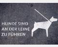 Symbolbild: Daniel Naupold
Beißvorfälle mit Hunden haben in Weiden 2023 leicht zugenommen.