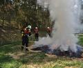 Bild: wfw
Mit Hilfe sogenannter Waldbrandpatschen kann ein Flächen- oder Getreidefeldbrand bekämpft werden. Die Feuerwehrleute trainieren die richtige Handhabung.