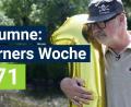 Bild: Christian Gold 
Frank Werner kommentiert die Themen der Woche.