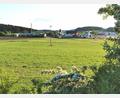 Bild: Portner
Neue Gewerbeflächen in Oberviechtach wird es auf der 3,8 Hektar großen Wiese angrenzend ans Industriegebiet West Oberviechtach (ungemähte Fläche) geben, sowie im Feld gegenüber, welches neu in den Flächennutzungsplan aufgenommen wurde.