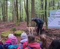 Bild: Judith Zeitler/exb
Abschluss-Rollenspiel der Förster vom Landwirtschaftsamt: Annette Schödel geht „Schwammerln“ und Martin Wittmann zeigt den richtigen Waldspaziergang mit Hund Balu.