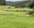 Bild: Josef Glas
Das idyllische Kainzbachtal bei Kleinschwand