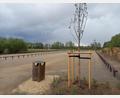 Bild: bl
150 neue Parkplätze gibt es jetzt in der Höllohe. Die Investitionen müssen auch refinanziert werden. Ab Juni werden Parkgebühren erhoben.