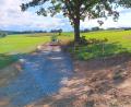 Archivbild: as
Der Radweg entlang des ehemaligen Eisernen Vorhangs, hier zwischen Querenbach und Maiersreuth, ist ein Projekt der Ikom Stiftland.