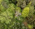 Symbolbild: Silas Stein/dpa
Carl Graf zu Eltz aus Fensterbach ist als "Waldbesitzer des Jahres" beim "Deutschen Waldpreis" nominiert.