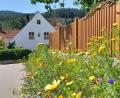 Bild: Markus Kurz/exb
Ein Werk der Gartler: Die neu angelegte Blühfläche in Oberauerbach.