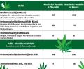 Bild: Marco Meier
Ein Blick in Daten aus dem polizeilichen Vorgangsbearbeitungssystem zu Delikten im Zusammenhang mit Cannabis. 	
 	Quelle: Bayerisches Innenministerium/Oberpfälzer Polizei