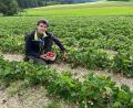 Bild: ihl
Anton Baumann zeigt Oberpfalz-Medien: Die Erdbeeren sind schon reif und können gepflückt werden.