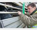 Symbolbild: Philipp Schulze/dpa
Ein Amtstierarzt kontrolliert den Zustand von Kühen auf einem Tiertransporter.
