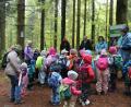 Bild: Kindergarten St. Elisabeth Erbendorf/exb
Ein Tagesausflug in den Wald.