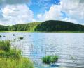 Bild: Evi Wagner
Der Eixendorfer Seeweg führt immer am Wasser entlang.