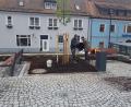 Bild: gi
Bald wird es grün am neuen Moosbacher Marktplatz. Gärtner einer Firma aus Cham haben 2000 Gehölze, Stauden und Gräser sowie Blumenzwiebeln gepflanzt.