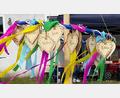 Bild: Maria Camp
Herzen mit den Namen der Kinder schmückten den Maibaum beim Maifest der BRK-Kindertagesstätte Weiherhammer.