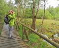 Bild: Portner
Einzigartige Moorlandschaft im Landkreis Schwandorf: Gebietsbetreuerin Birgit Simmeth freut sich über den aktuellen Zustand vom Kulzer und Prackendorfer Moos.