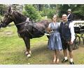 Bild: wro
Zur standesamtlichen Hochzeit am Hackelstein fuhren Christina Rank und Matthias Heindl mit einer zweiachsigen geschmückten Kutsche vor.