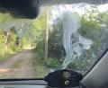 Bild: Polizeiinspektion Neubrandenburg, Polizei Waren
Ein ausgebüxtes Pferd schleckt am Streifenwagen der Polizei Neubrandenburg.