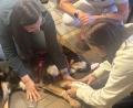 Bild: ge
Fachtierärztin Ines Geilersdörfer (links) erklärte das richtige Anlegen eines Verbandes beim Hund – Appenzeller-Rüde Apollo nahm es gelassen hin.