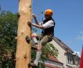 Archivbild: kro
Das Maibaum-Kraxeln ist immer eine besondere Attraktion beim Tirschenreuther Bürgerfest. Es wird auch diesmal wieder angeboten. Hier im Bild Bürgermeister Franz Stahl beim Klettern vor zwei Jahren.