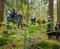 Bild: Martin Hertel/exb
Der Forstbetrieb Fichtelberg stellt die Weichen für den zukünftigen Wald. Über die Tanne, Hoffnungsträgerin für den Wald der Zukunft im Fichtelgebirge, wurde beim Forsteinrichtungsbegang in Fichtelberg intensiv diskutiert.
