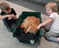 Bild: hka
Ronja und Peter mit ihrem Maine Coone-Kater Thor, dem ein Friseur-Besuch bevorsteht.