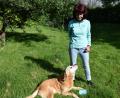 Bild: wfe
Emma Niklas mit ihrer Labradorhündin Ila, die den Geburtstagswunsch aus Nordrhein-Westfalen beim Gassigehen erschnüffelt hatte.