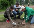 Bild: pop
Vor der Ernte müssen die Schüler erst einmal viel Arbeit und Geduld einbringen. "Ackercoaches" begleiten sie.