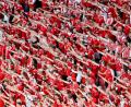 Bild: Peter Kneffel/dpa
München Fußball Arena, dänische Fans.