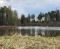 Bild: Dobler
Das Gebiet rund um den Eselweiher bietet einen Erholungsraum für Spaziergänger, Läufer, Radfahrer, Hobby-Naturkundlern, Angler und Stockschützen.
