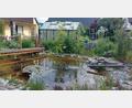 Bild: Doris Schwarz
Der Garten von Doris Schwarz in Waldershof (Landkreis Tirschenreuth) besticht mit einem großen Gartenteich und kann am 30. Juni besichtigt werden.