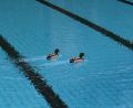 Symbolbild: Karl-Josef Hildenbrand/dpa
Ganz allein mit den Enten im Freibad: Klingt gut? Einfach während eines EM-Spiels hingehen.