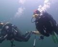 Bild: T. Neufeld/exb
Die gute Orientierung unter Wasser ist beim Tauchen ganz wichtig. Bei einem Kurs in Sachsen-Anhalt haben Mitglieder des TC Nautilus wichtige Erfahrungen gesammelt.