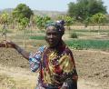 Bild: LAG Mali
Szene aus dem Garten von Mouroukorobougou. Ein Teil der Frauen hat schon mit der zweiten Anbauphase des Gemüses begonnen.