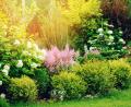 Symbolbild: Maria Kovalevskaya – stock.adobe.com
Im Garten blüht auch unsere Seele auf.