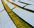 Bild: Nicolas Armer/dpa
Das Geschäft mit Solarstrom boomt. Auch in Plößberg gibt es einige Bauvoranfragen. Der Marktrat hat zur Bewertung der Anfragen nun einen Kriterienkatalog auf den Weg gebracht.