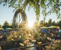 Bild: Wille Entertainment
"Sommer in der Stadt".
