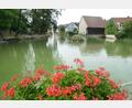 Bild: bey
Der Stadtweiher unterhalb des Kreuzberges ist eine wunderschöne Anlage und kommt besonderes bei den Touristen gut an. Die Wasserqualität aber macht der Stadt und somit auch dem Stadtrat große Sorgen.