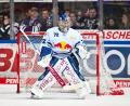 Bild: EHC Red Bull München / City-Press GmbH
Daniel Allavena komplettiert das Goalie-Trio um Marco Wölfl und Felix Noack.