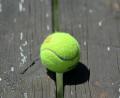 Bild: Hubert Ziegler
Im September finden die Tennis-Meisterschaften des Landkreises Amberg-Sulzbach statt.