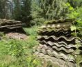 Bild: upl
Sondermüll, von Pflanzen überwuchert, im Wald: Mehr als 40 Eternitplatten hat der Grundstücksbesitzer hier gelagert.