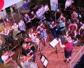 Bild: prh
Mit einem abwechslungsreichen, beschwingten Sommerkonzert begeisterten die Schülerinnen und Schüler des musischen Zweigs des Neustädter Gymnasiums in Chören, Ensembles, Orchester oder als Solisten die Zuhörer in der voll besetzten Aula.