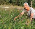 Bild: Portner
Der Traum für eine Kräuterfachfrau: Monika Ermer freut sich über die blühenden Wildkräuter am Wegesrand bei Winklarn.