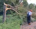 Bild: Thomas Schaller
Ein Unwetter mit starken Böen hat am Dienstag an der Böhmerwaldstraße einen Mehlbeerbaum umgeknickt. Städtische Arbeiter beseitigen am nächsten Morgen das Hindernis.