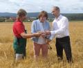 Bild: ald
Landwirt Herbert Giedl (links) erklärt Bezirksbäuerin Rita Götz und Ely Eibisch, Vizepräsident des Bayerischen Bauernverbandes, wie es um seine Braugerste steht.