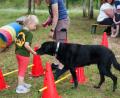 Bild: Jakob Graf
Im Geschicklichkeits-Parcours sollen die Kinder Therapiehündin "Lilli" über die Hindernisse führen.
