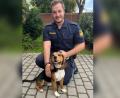 Bild: Polizeiinspektion Amberg
Diesen Beagle haben Beamte der Polizeiinspektion Amberg in Hirschau aus einem aufgeheizten Auto befreit.