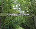 Archivbild: Evi Wagner
Der Schwandorfer Kreistag hat die Regeln für Besucher des Wild- und Freizeitparks Höllohe bei Teublitz geändert