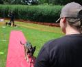 Bild: sne
Der Hund muss am Ende des Teppichs warten und durfte erst auf Kommando zu seinem Besitzer kommen.