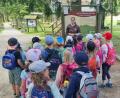 Bild: Tanja Ruckdäschel/exb
Die Kinder erkundeten den Wildpark Mehlmeisel.